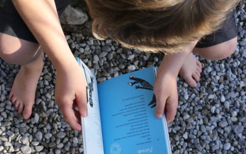 Symbolfoto: Lesender Junge 